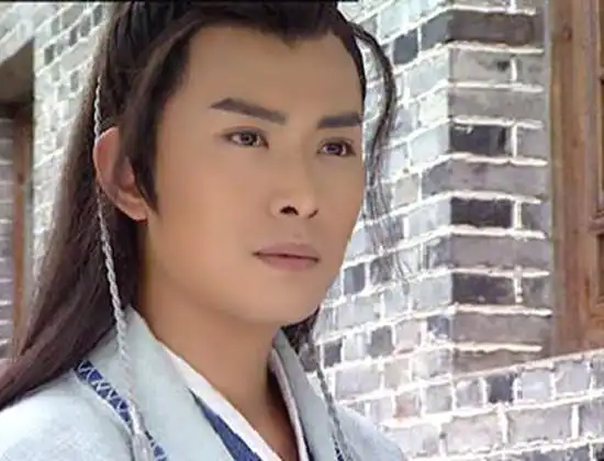 主演过《书剑恩仇录》《武林外史》《萍踪侠影》《隋唐英雄传》《上官