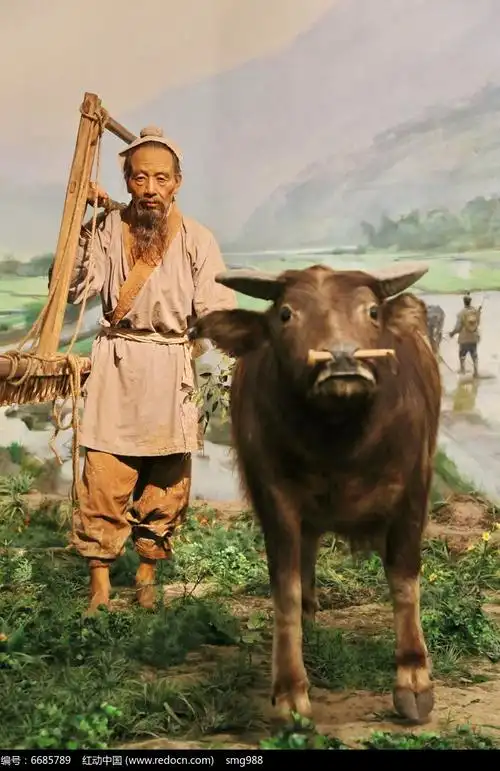 古代犁田农夫和水牛