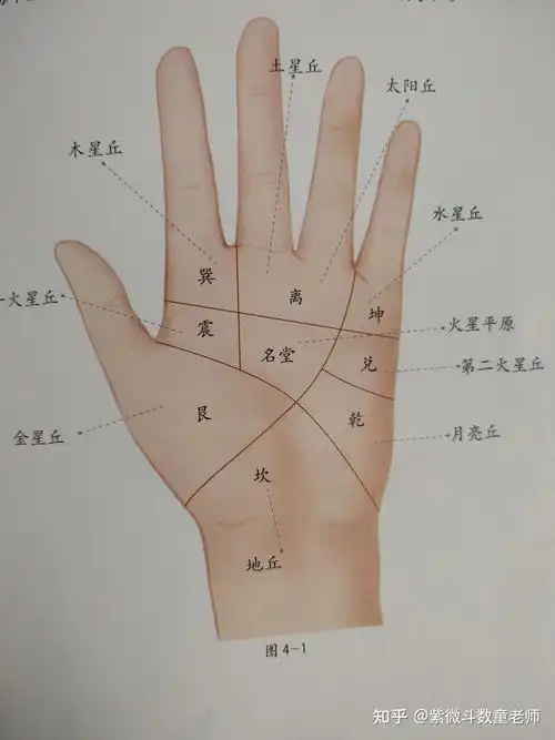 八卦在掌上区域与健康