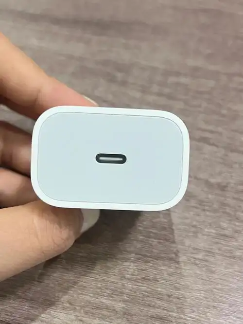 苹果充电头一百块安全下车