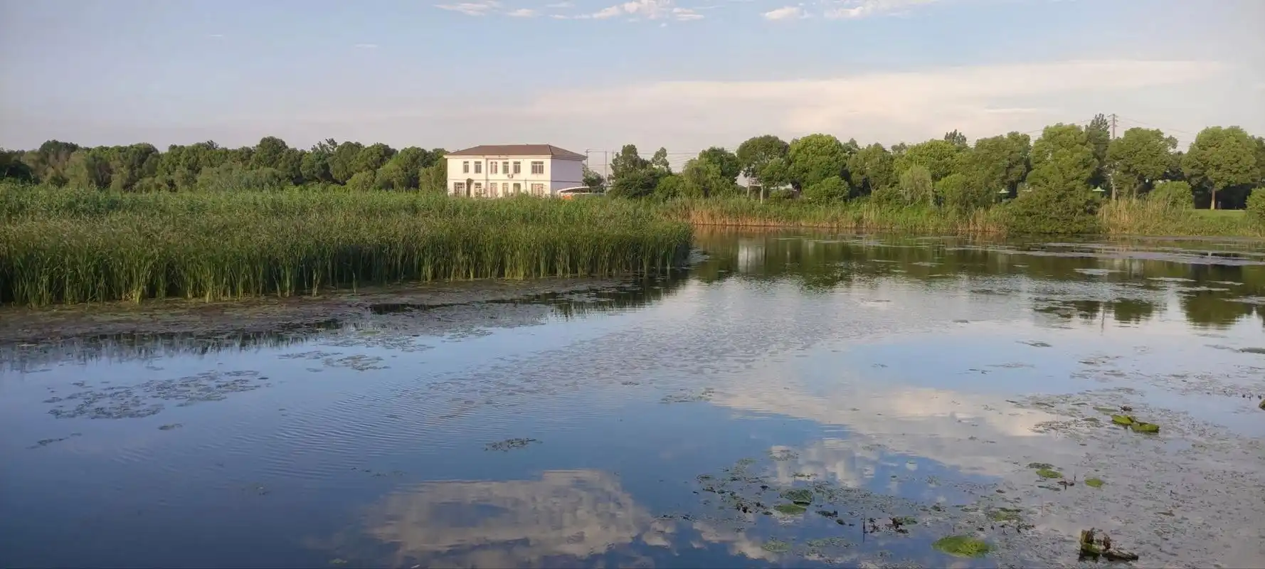 位于溧阳的长荡湖湿地公园,有一部分属于常州金坛,距离茅山,天目湖
