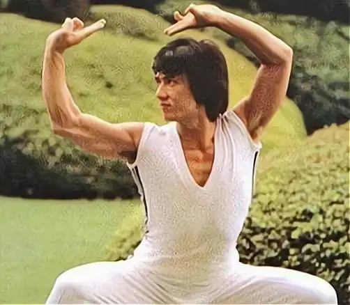 洪金宝瘦了,成龙也老了,下一代功夫明星就是吴京了吧?