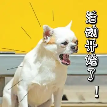 黄色搞笑狗子活动开始了表情包