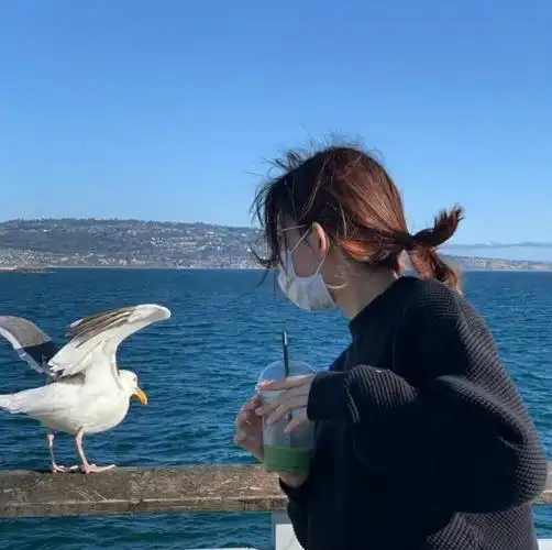 女生头像 动漫头像 杂头像夏日清凉头像