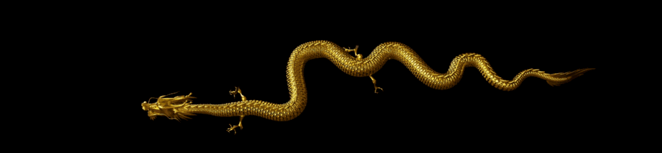 960_222gif 动态图 动图