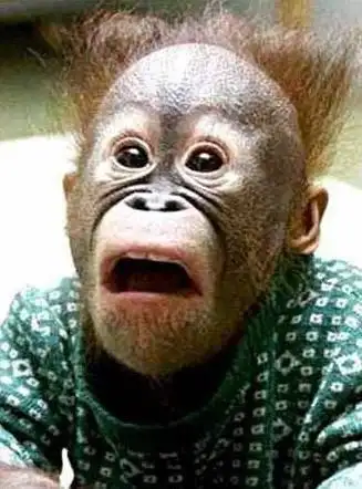 笑不停的二十6张经典搞笑图片!