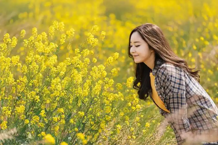 又到了油菜花开的季节,我又想起了高中时的她_的花海_花海中_都会