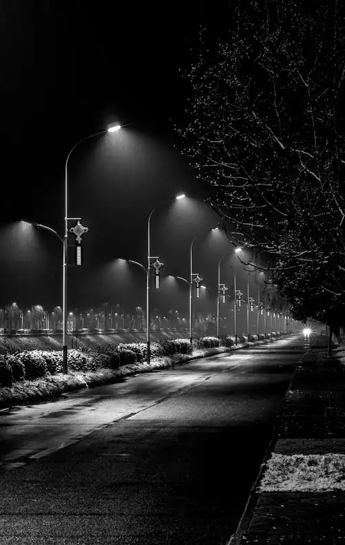 寒冷有雪的深夜,路灯静默地矗立着,照亮了每一个夜归人的回家路.