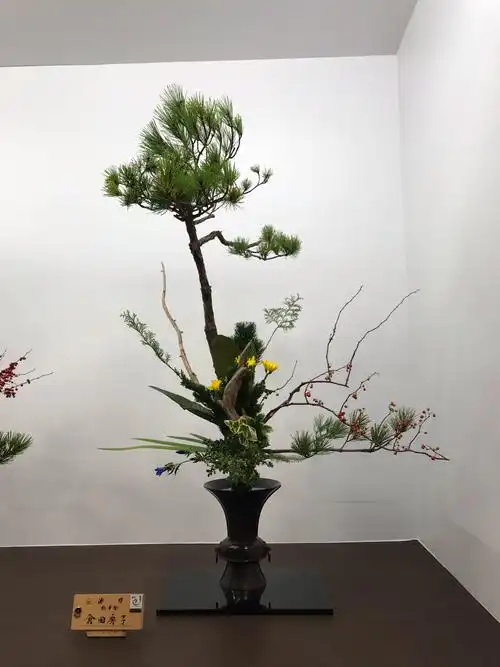 与花儿共舞——池坊·立花(九)