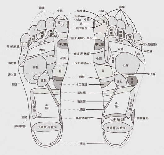 堪比"私人按摩师",睡前泡个脚,太放松了一天的疲惫烟消云散,舒服又