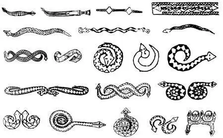 腾蛇族腾蛇图片2022已更新今日热点