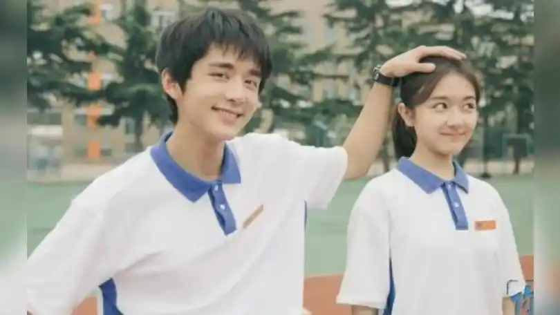 张新成李兰迪《三》