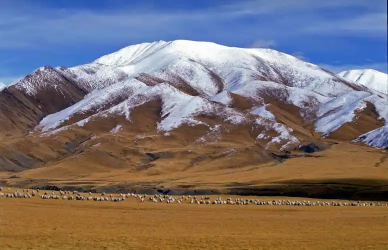 阿尔金山自然保护区图片
