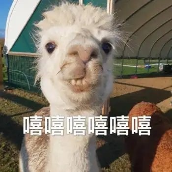 沙雕动物搞笑表情包沙雕动物图片表情