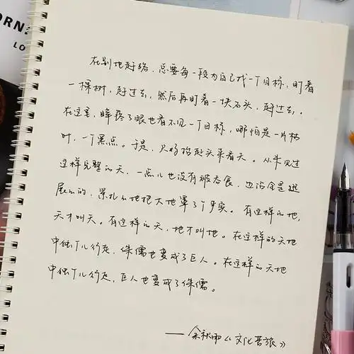 练字字帖心之所向手写体女生字体漂亮大学生清秀练字帖