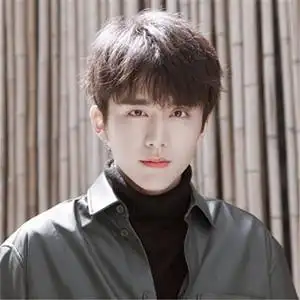 网红同款帅气假发男短直发蓬松韩版空气刘海时尚学生整顶男士发型