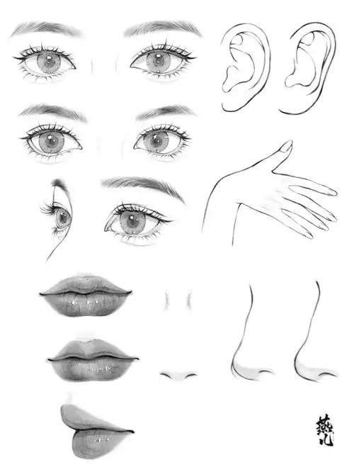 来看看五官怎么画吧佳儿国风专题课