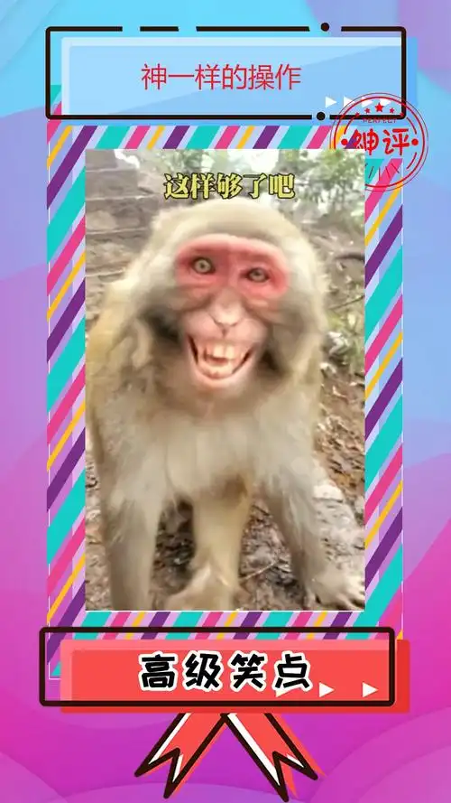 搞笑段子#爱笑的猴子运气总不会太差大师兄你太棒了