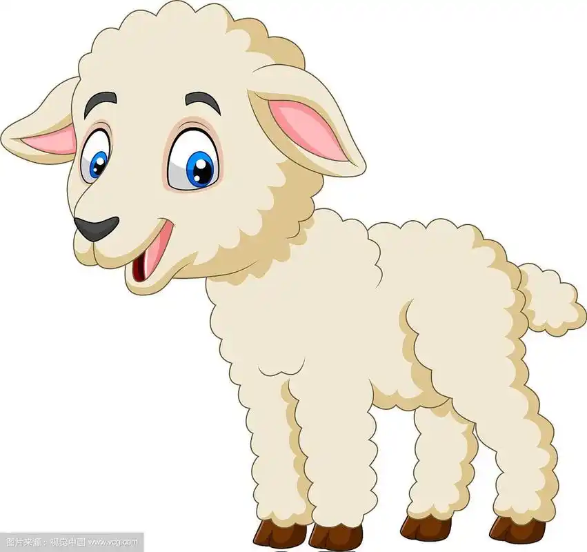 卡通快乐的羔羊孤立在白色的背景