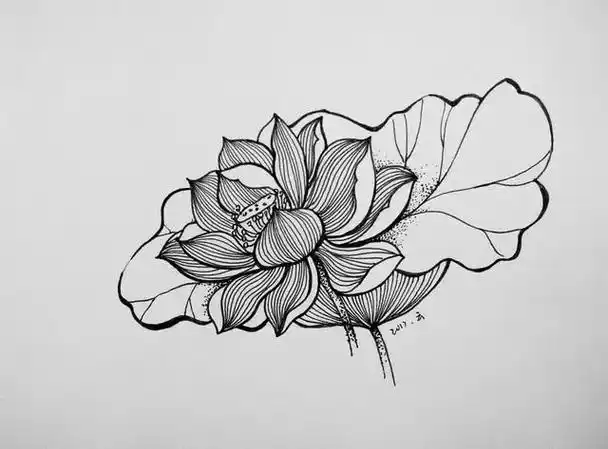 锻炼你的线条能力,这篇针管笔手绘很适合您!简单实用,你值得拥有!