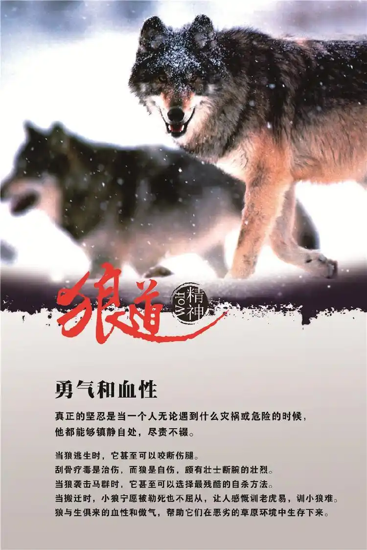 墨菲定律,鬼谷子,发人深省,不再迷茫50