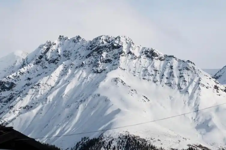 在西藏与春天的一次约会 (3) 从高寒到热带