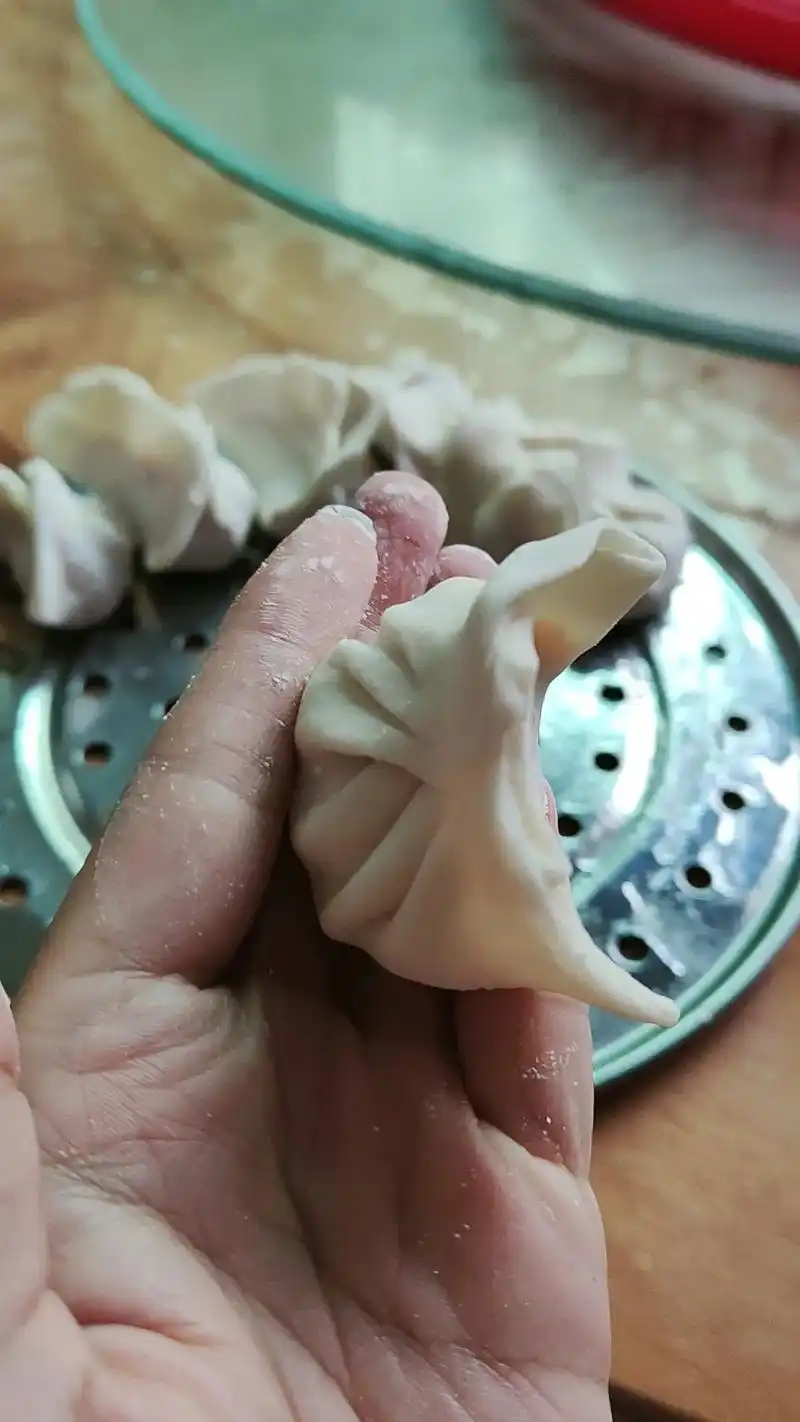 自己动手丰衣足食 #手工包饺子  - 抖音