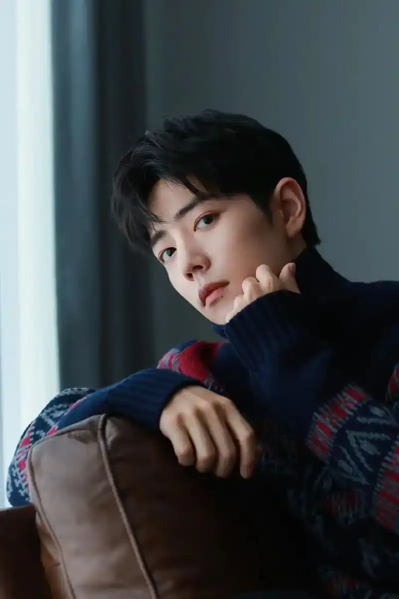 肖战  好喜好欢喜欢这组照片  - 抖音