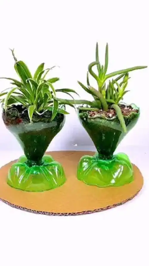 饮料瓶别扔,做个花盆摆在家里很好看#变废为宝 #自制花盆 #手工 #塑料