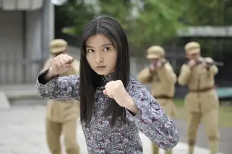 电视剧《黎明前的抉择》斓曦剧照