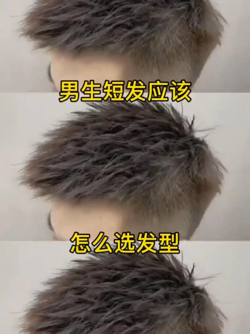 男生4-6厘米推荐锡纸烫 立体前刺 男生4-6厘米推荐锡纸烫 立体前刺