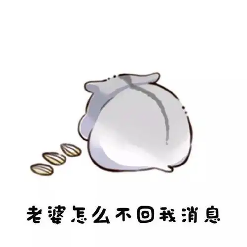 仓鼠表情包:我老婆穿什么都好看