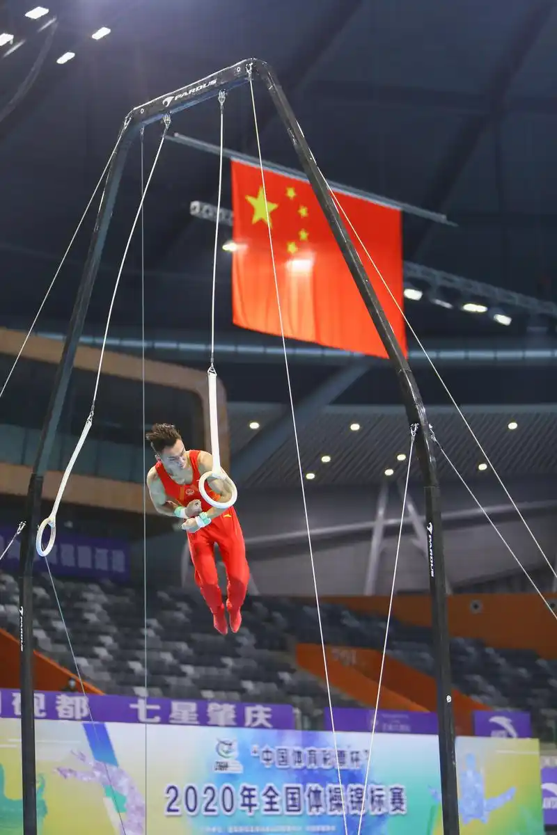 体操——全国锦标赛:孙炜夺得男子个人全能冠军(2)