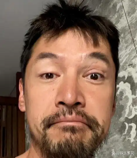 男星留胡子好像整容,陈柏霖更具男人魅力,陈晓看着稳重,博学