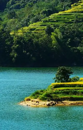 山青水秀美田园