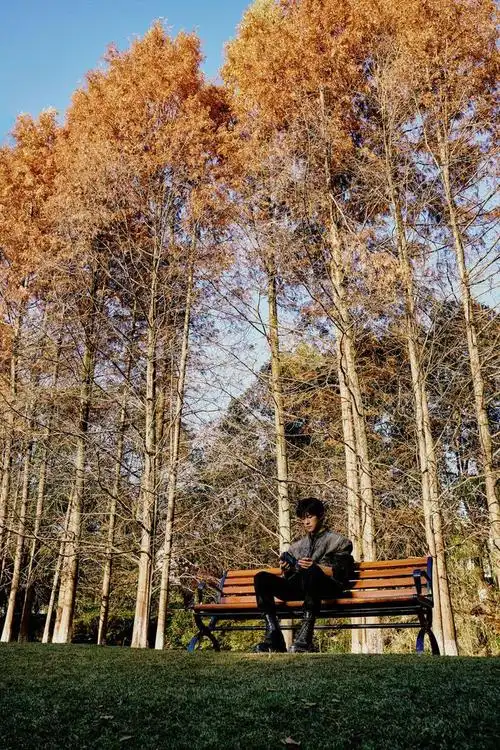 易烊千玺春日大片,万物复苏