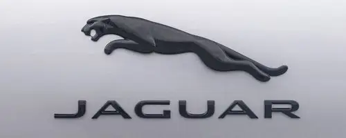 豹子头标志是什么车车标是豹子的是什么车