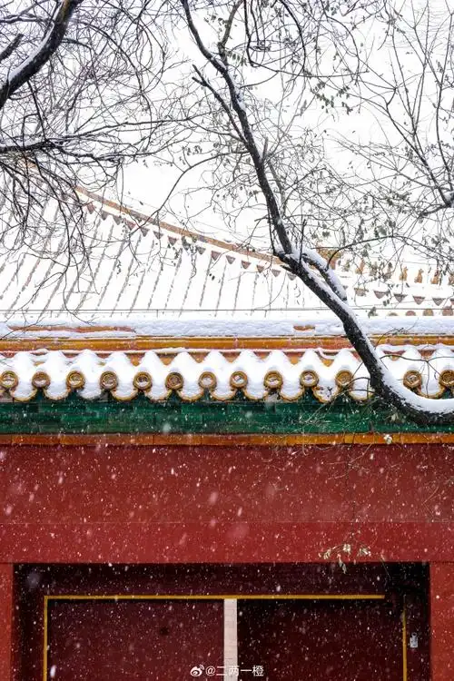 人像摄影的意义是记录吗##故宫的雪##100张年度旅行照片