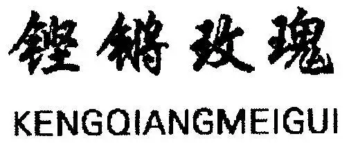 铿锵玫瑰 - 商标 - 爱企查