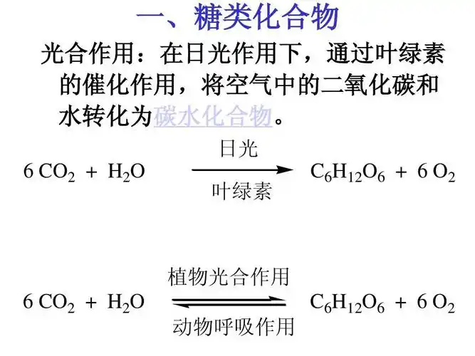 植物光合作用   co2   h2o 动物呼吸作用 c6h12o6     o2