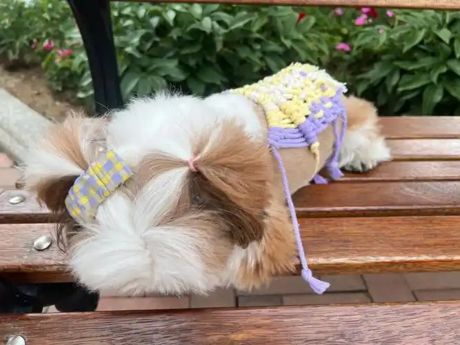 用几根绳子糊弄我当衣服穿哼幸好我颜值高