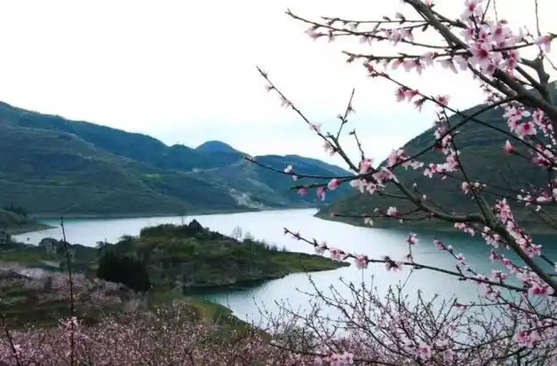 3月贵州有个美哭的桃花岛