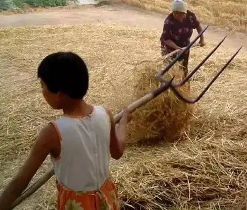 以前农村的老照片,满满都是回忆!内江人快来看看!