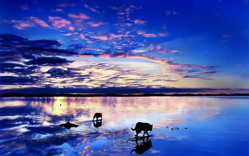 【极致的旋律 精美壁纸】3首伤感的欧美歌曲你一定会喜欢.