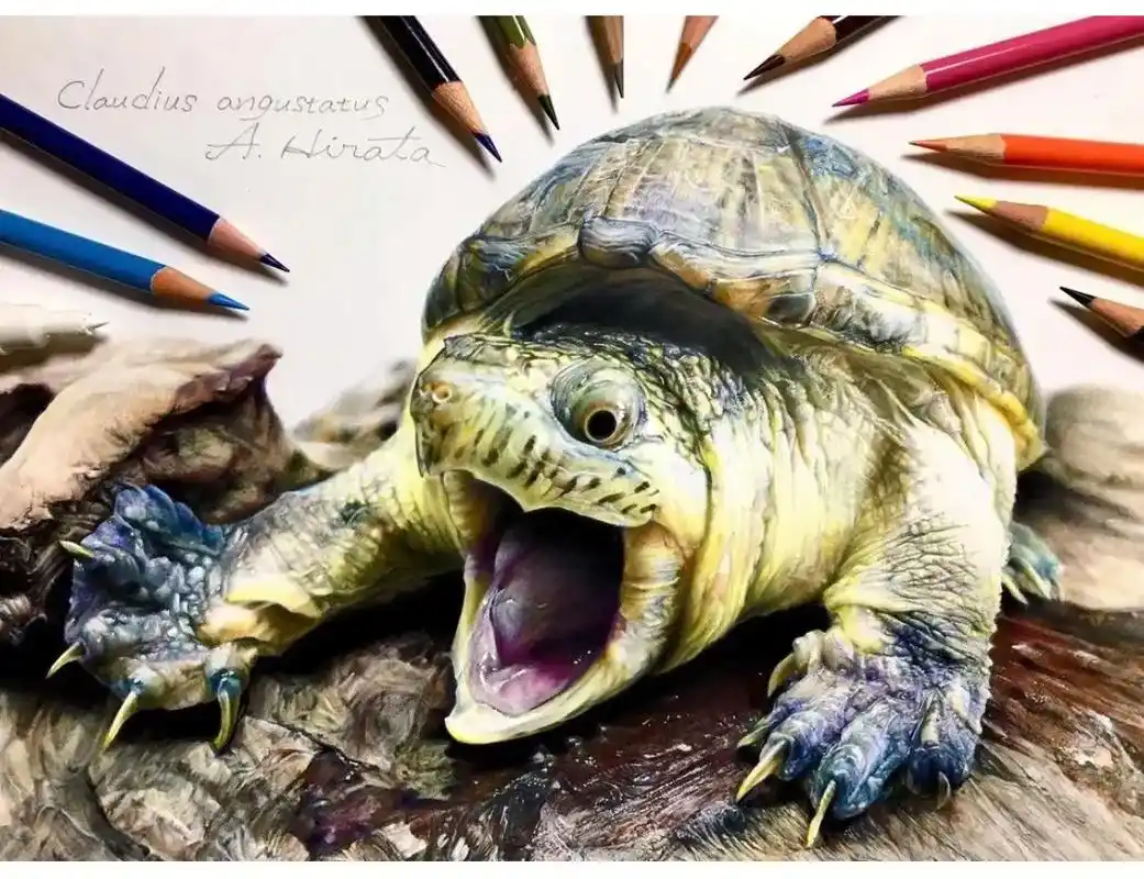 画画.彩铅超写实版本#创作灵感 #画画 #美术生 #艺术 # - 抖音