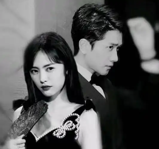 蔡文静彭冠英芭莎大片