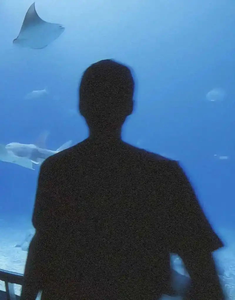 每一帧都充满爱吴世勋生图男友风女友视角