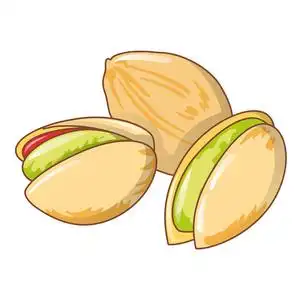 卡通开心果图片