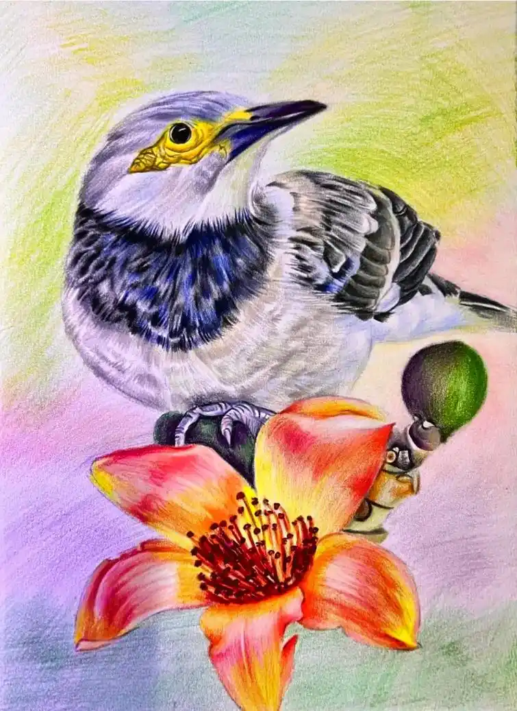 木棉花与小鸟彩铅手绘附步骤#画画 #彩 - 抖音