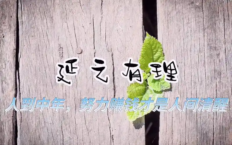 延之有理—第17集 人到中年,努力赚钱才是人间清醒